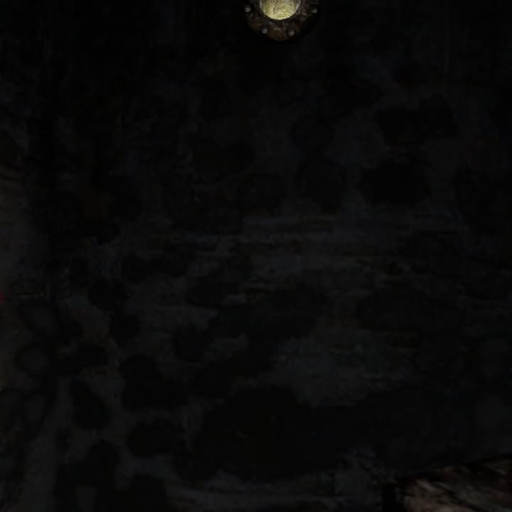 Silent Hill The Room 360 Prison World