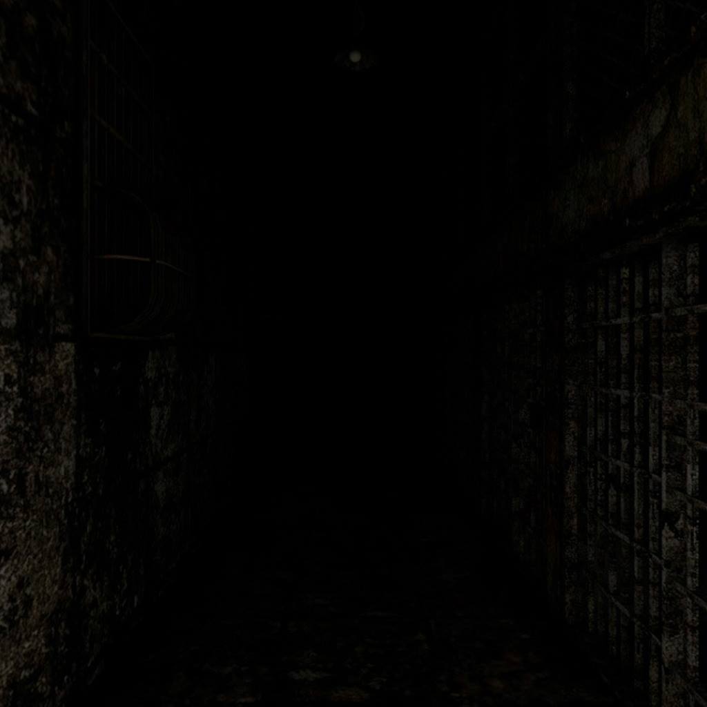 Silent Hill 2 - Cells 1-A (360VR Image) Made by Project Ravenlight www…
