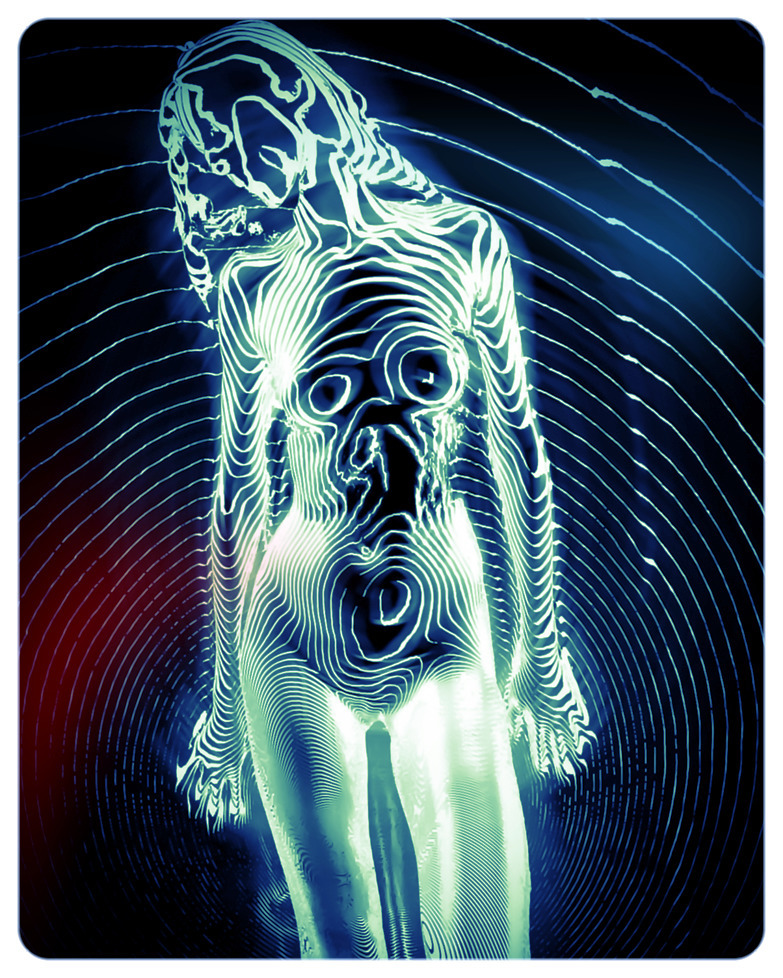 3D Scan & Digital artistic nude  Model: @maliiiiiya Made by @vjravenli…