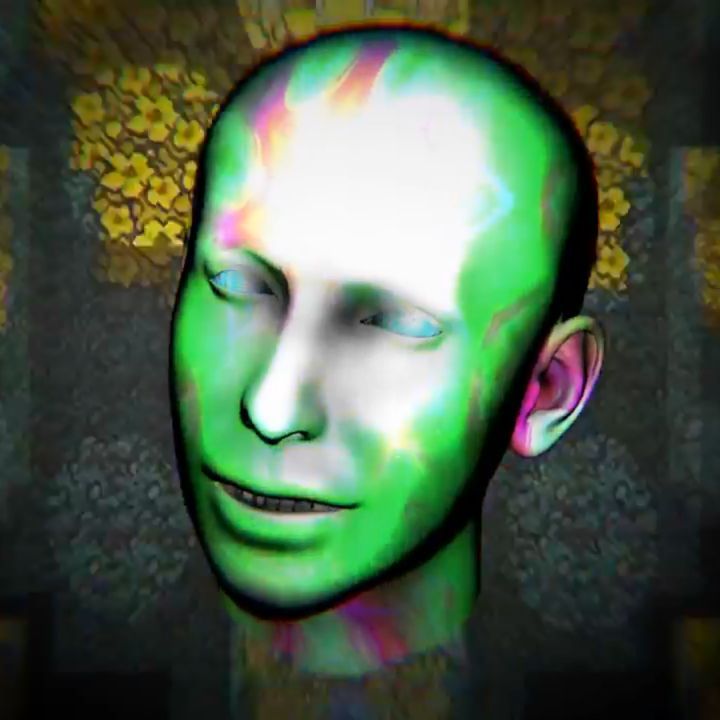 3DScan Art & Mocap Model & SONG: @n4ncy_invid_mind Made by: @vjravenli…