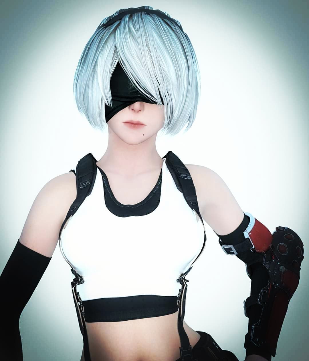 Custom Digital Crossplay 2B & Tifa (work in progress) #nierautomata #f…