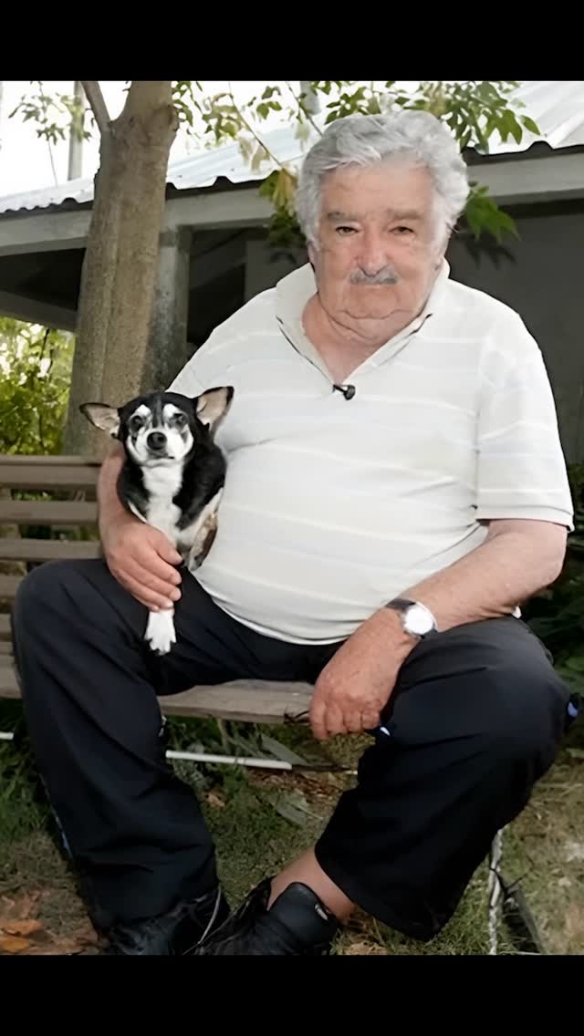 IAvatar tributo Pepe Mujica Audio sacado de: Project Ravenlight #iavat…